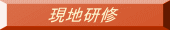 現地研修 